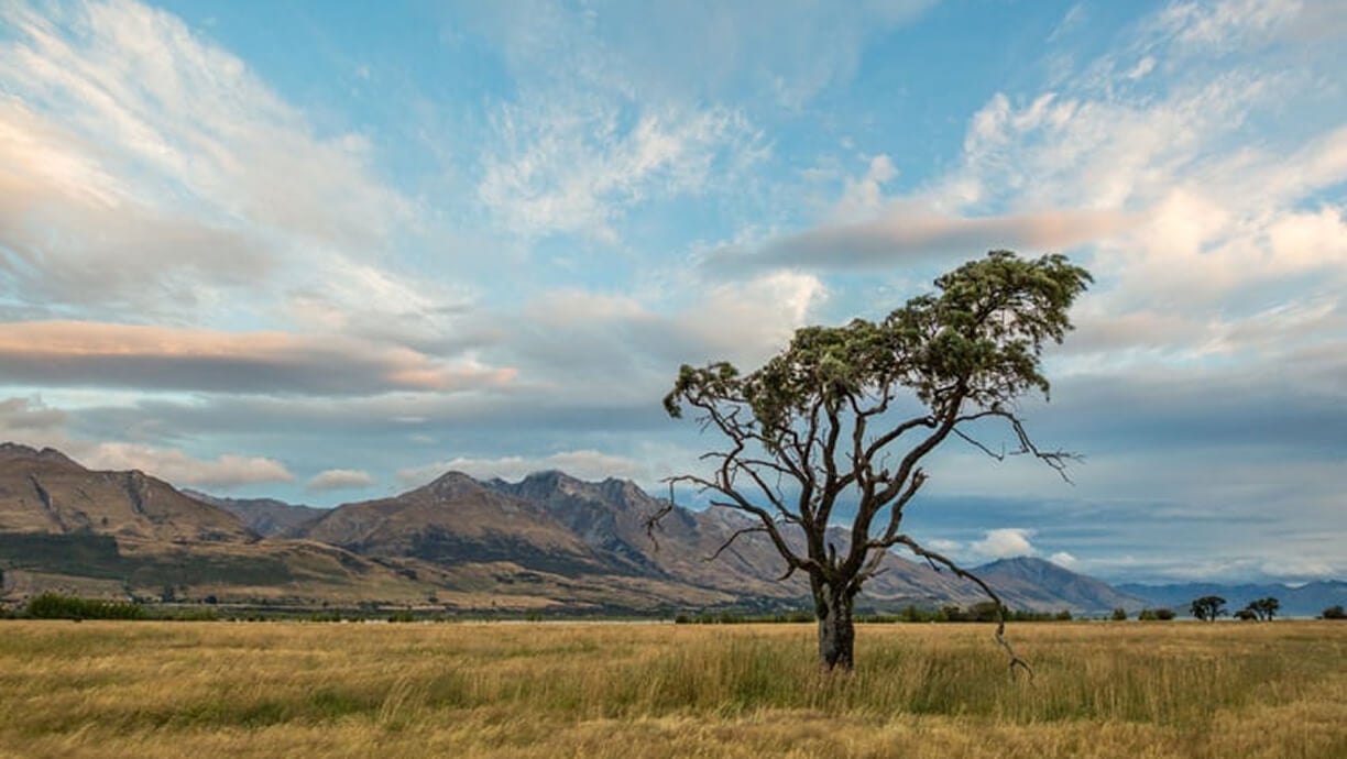 Republic of Kenya (Nakuru District)