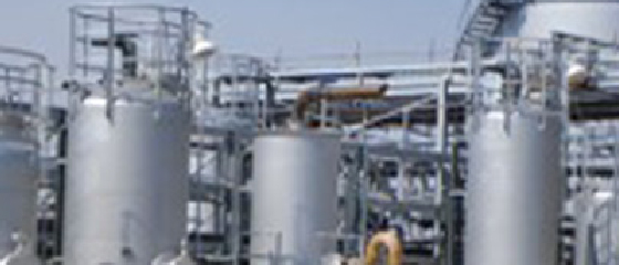 Service Water Treatment System