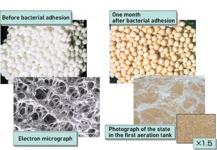 Dispersed bacteria retaining material
