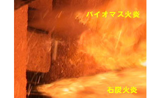 バイオマス/微粉炭混焼状況
