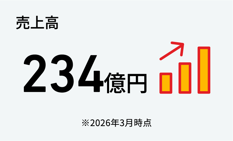 売上高234億円（2026年3月時点）
