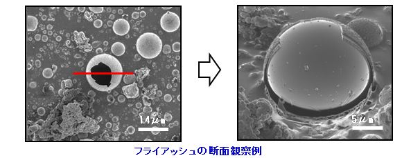 フライアッシュの断面観察例