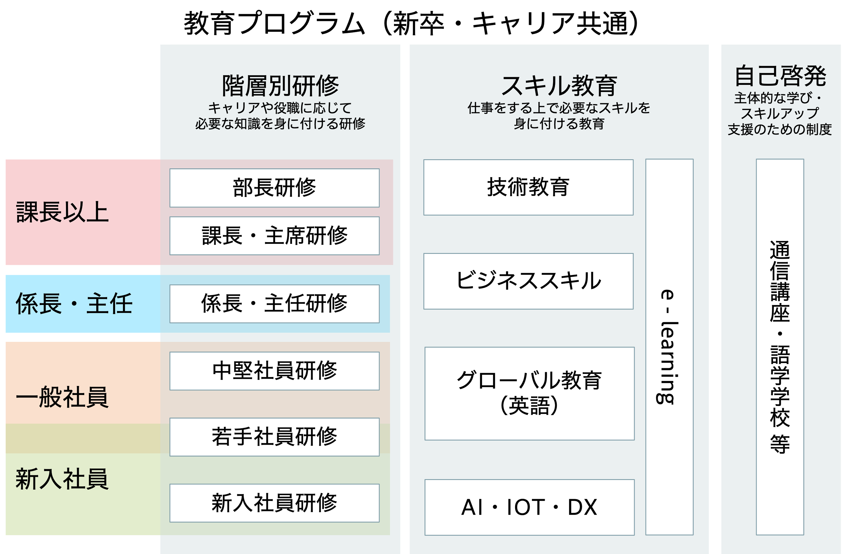 教育プログラム（新卒・キャリア共通）