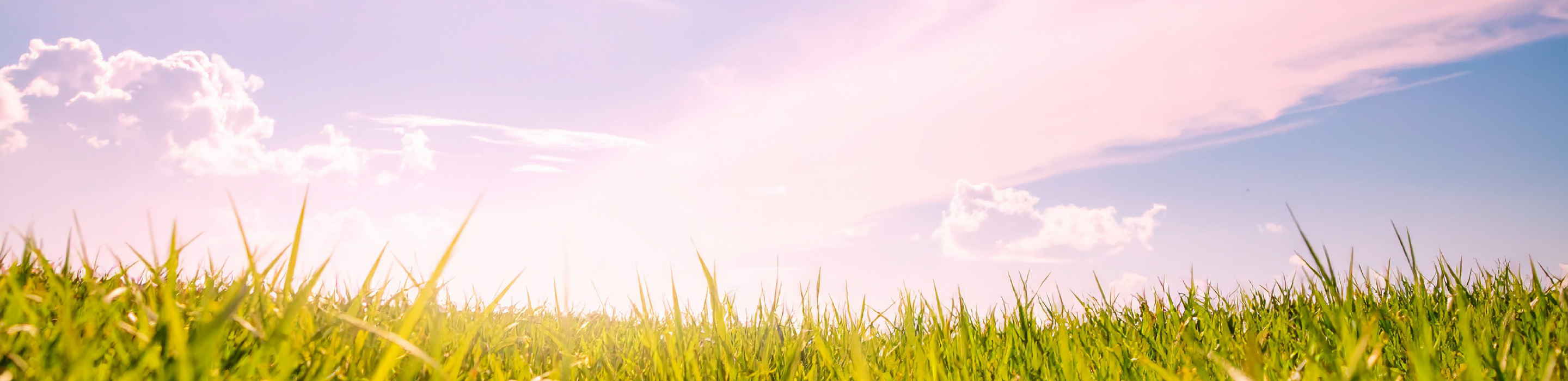 私たちのパーパス