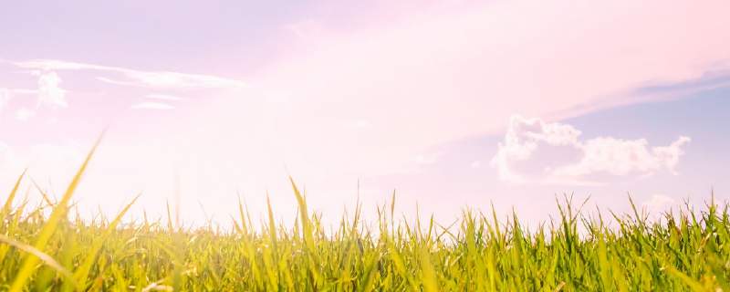 私たちのパーパス