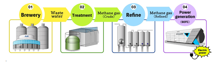 Power generation from fuel cells using biogas derived from brewery wastewater
