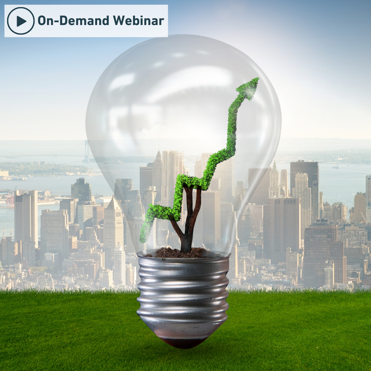 INTERSECTION BETWEEN U.S. POLICY AND MARKETS - Webinars