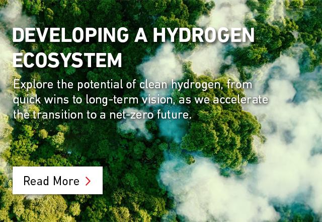 Hydrogen Ecosystem