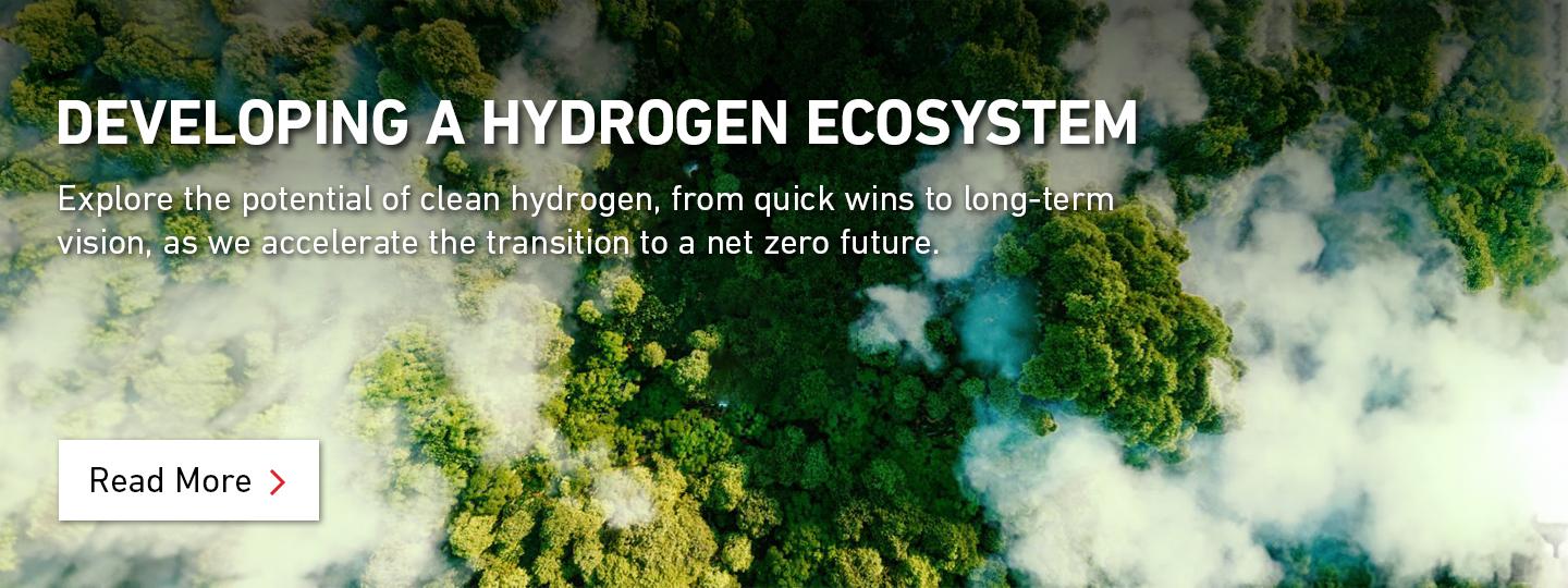 Hydrogren Ecosystem