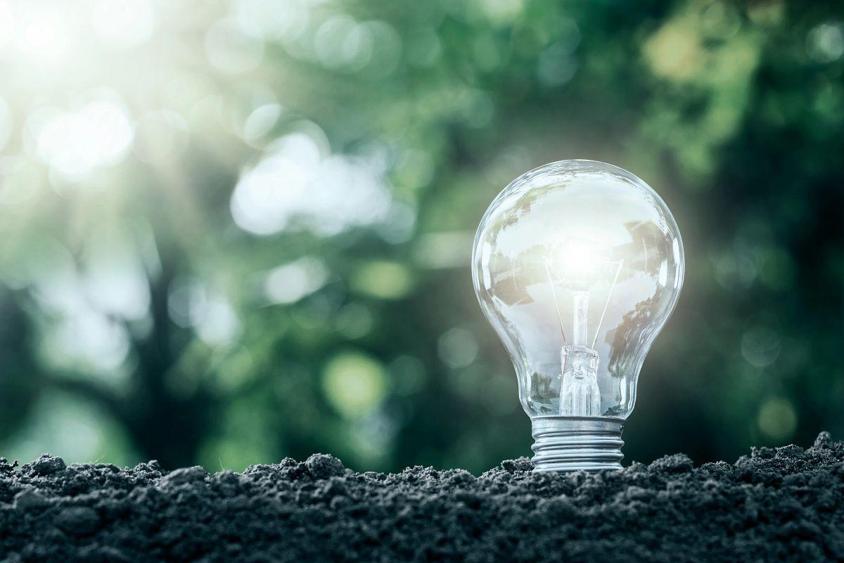 Lightbulb