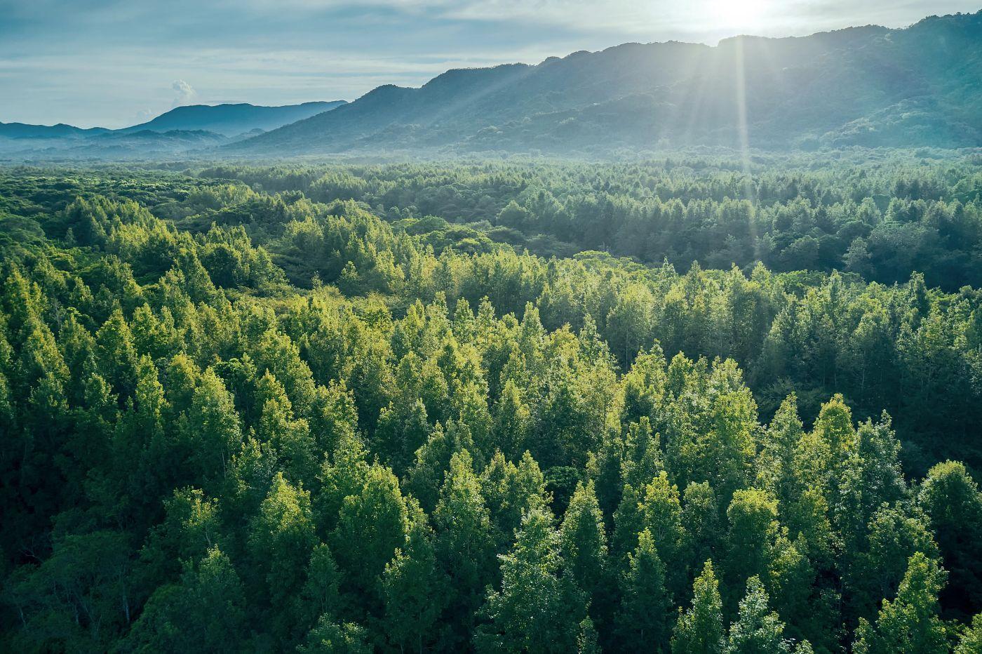 Nature Landscape