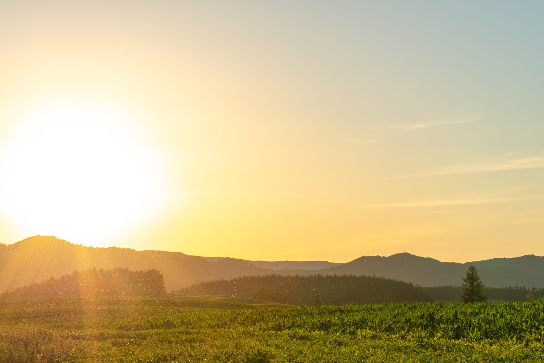Landscape view with sunrise