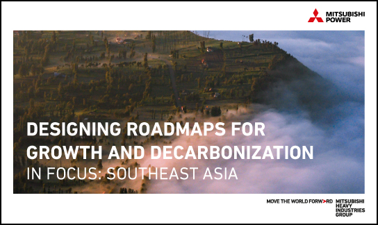 Designing Roadmaps for Growth
and Decarbonization