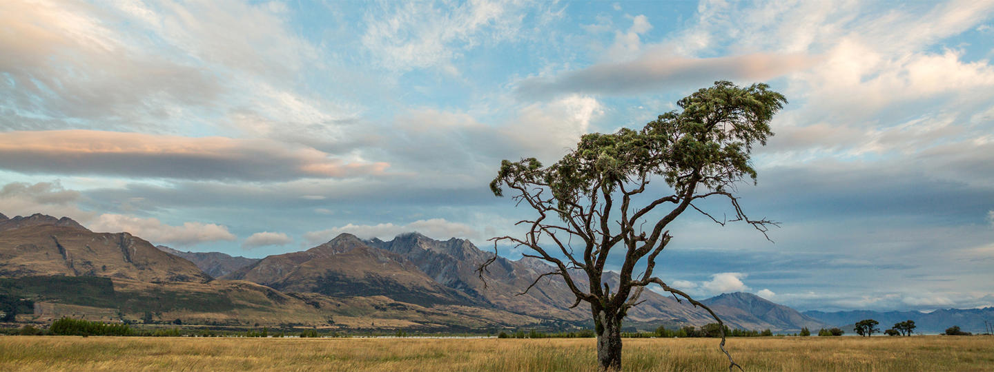 Geothermal Power for Sustainable Development in Kenya