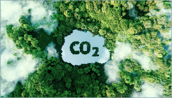 The Latest Initiative of Intelligent Solution TOMONI® to Achieve Carbon Neutrality